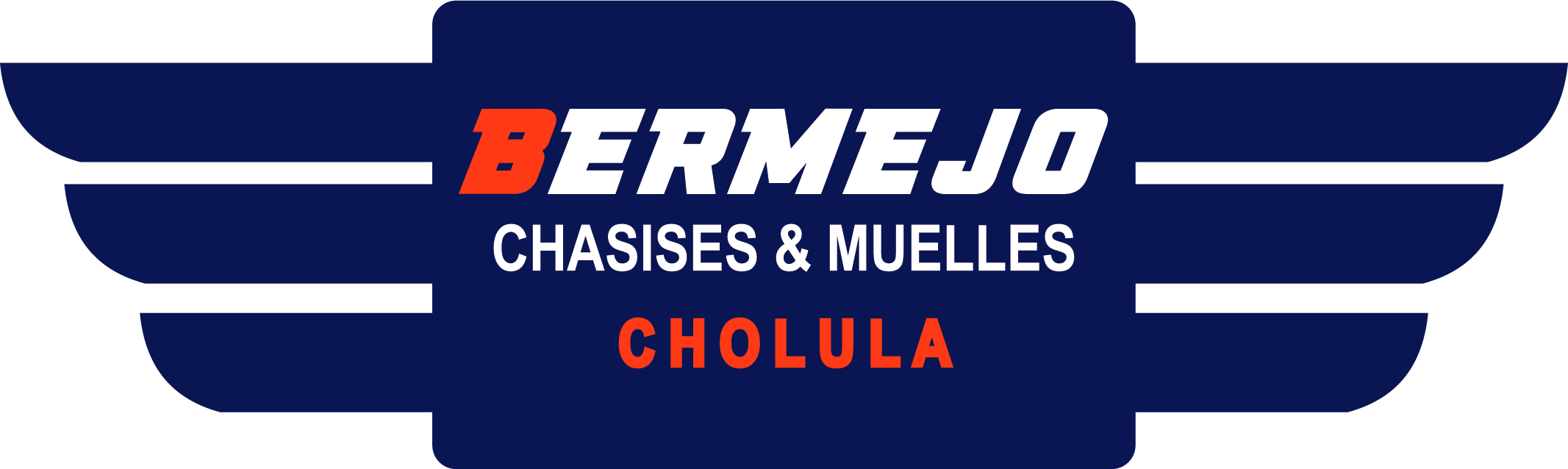 Logo Section